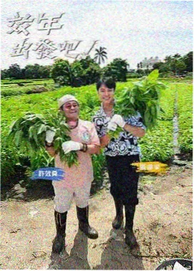 秋霞影视歌手